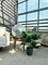 Bird of Paradise Silk Artificial Plant Faux Banana Leaf Tree Fake Tropical Palm Tree for Home Decor Indoor Floor Plant